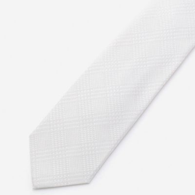 ＜COMME CA MEN ＞ フォーマルバリエーションタイ(0766NW54) ソノタ ガラ1 【三越・伊勢丹/公式】