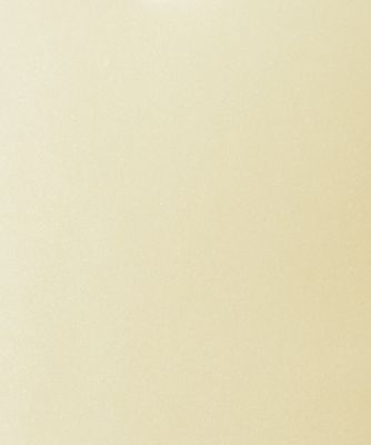 ＜神田胡蝶＞ MIQ婦人 低反発草履台 薄緑 【三越・伊勢丹/公式】