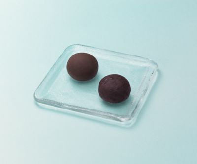 <とらや> ★【７月１７日（木）～１９日（土）午後２時～午後８時　京都／地下１階　店頭お受取りカウンター】＜とらや＞土用餅２個入