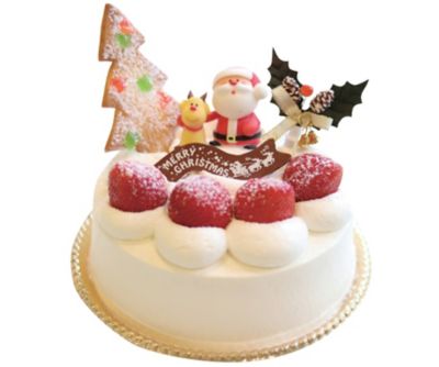 Jr京都伊勢丹のクリスマスケーキ