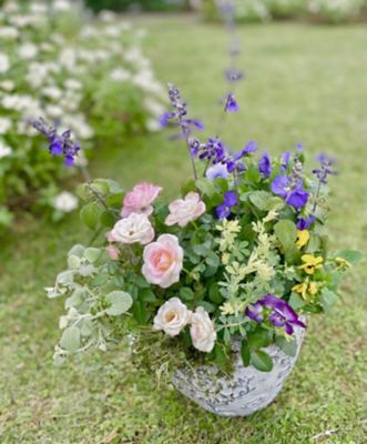 <${item.brandName}> 【１日・短期講座】［７２］イギリスの風を感じる小さな寄植え　春の花を楽しみましょう