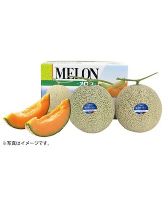 <${item.brandName}> ふらのメロン　※送料無料【Ｈ７０７０２３】
