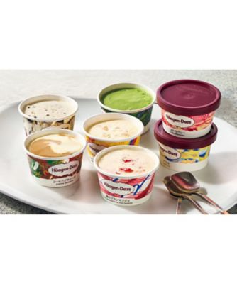 <${item.brandName}> 〈ハーゲンダッツ〉アイスクリーム詰合せ　※送料無料【Ｄ０４２５３３】