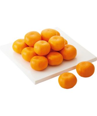 <${item.brandName}> 佐賀唐津　ハウスみかん　※収穫次第のお届け　※送料無料【Ｄ０４５０５３】