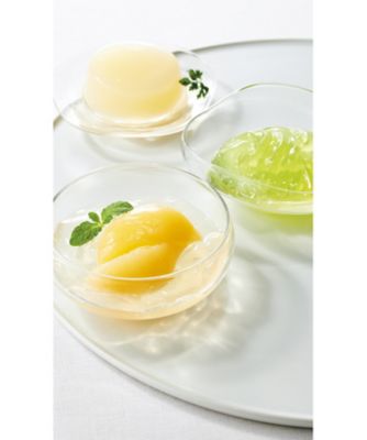 <${item.brandName}> 〈日本橋菓寮〉涼夏の彩り　※送料無料【Ｂ０５０８９３】