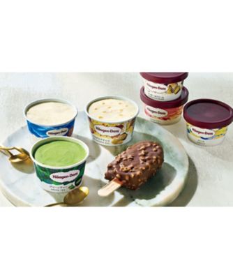 <${item.brandName}> 〈ハーゲンダッツ〉アイスクリーム詰合せ　※送料無料【Ｄ０４２０５３】
