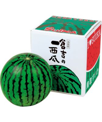 <${item.brandName}> 鳥取　倉吉極実西瓜　※収穫次第のお届け【Ｒ２５０３９３】