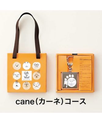 <${item.brandName}> ギフトダワン！カーネコース【５３１８２３】