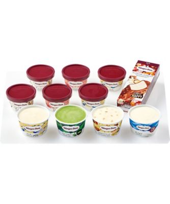 <${item.brandName}> 〈ハーゲンダッツ〉アイスクリーム詰合せ　※送料無料【Ｄ０４２０５３】