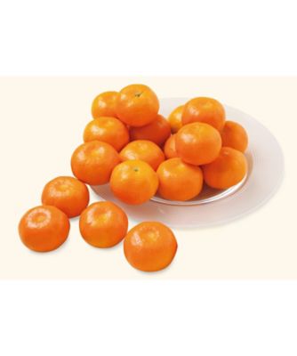 <${item.brandName}> 愛媛西宇和　みかん　※収穫次第のお届け　※送料無料【Ｈ０４５６３３】