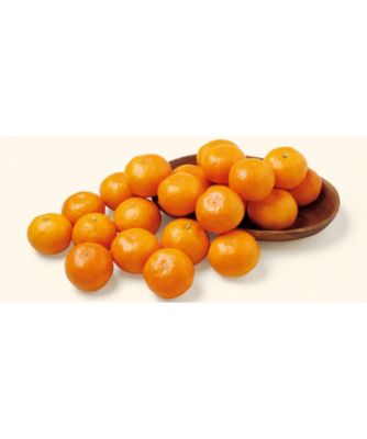 <${item.brandName}> 和歌山　有田みかん　※収穫次第のお届け　※送料無料【Ｈ０４５６５３】