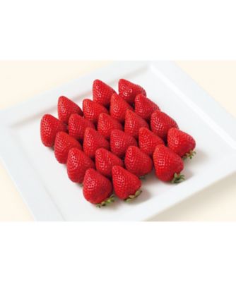 <${item.brandName}> 福岡　あまおう苺　※収穫次第のお届け　※送料無料【Ｄ０４５６９３】