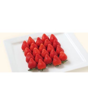 <${item.brandName}> 栃木　とちあいか苺　※収穫次第のお届け　※送料無料【Ｄ０４５７１３】