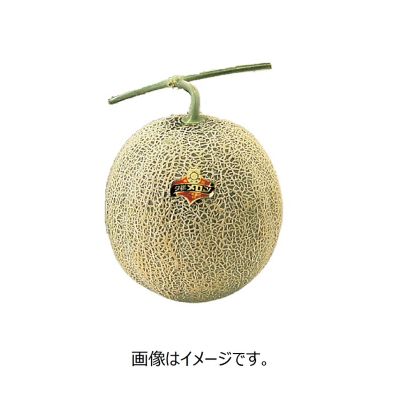 53_20melon_1ko