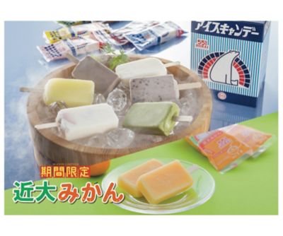 <５５１蓬莱>【７月１日（火）～８月２４日（日）京都／地下２階　北側プロモーションお受取り】＜５５１蓬莱＞アイスキャンデー【限定】近大みかん入１２本セット