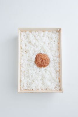 新宿 日の丸弁当 三越伊勢丹オンラインストア 公式