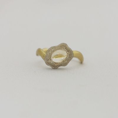 NIS H.P France 伊勢丹 www.teltvin.com.br
