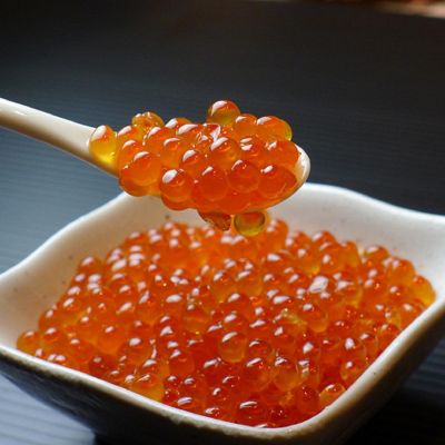 ＜北海道根室市/藤井水産＞★【産直】鮭匠ふじい　いくら醤油漬け