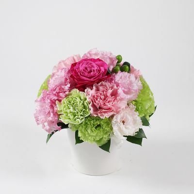 第一園芸/ダイイチエンゲイ 生花アレンジメント ミレーユ ピンクM