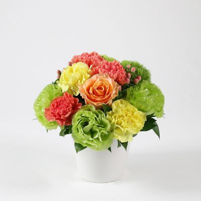 ＜第一園芸＞生花アレンジメント　ミレーユ　オレンジＭ