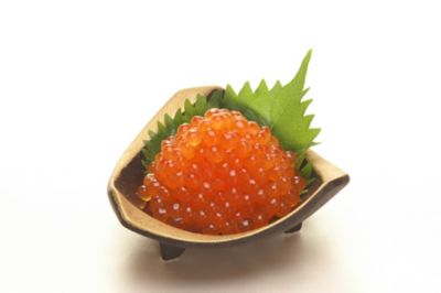 ＜北海道函館市/味の匠＞★【産直】いくら醤油漬