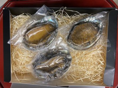 ★【産直】煮あわび