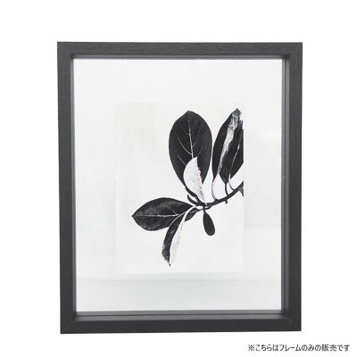 URBAN NATURE CULTURE/アーバンネイチャーカルチャー フォトフレーム　フローティング　ミディアム　ブラック（５０１６３８６１）