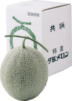 ＜北海道小樽市/北宝堂＞★【産直】収穫当日発送　夕張メロン共選　優品１玉