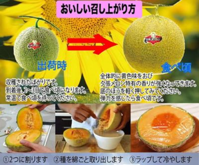 ★【産直】収穫当日発送　夕張メロン共選　優品１玉
