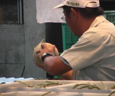 ★【産直】収穫当日発送　夕張メロン共選　優品１玉