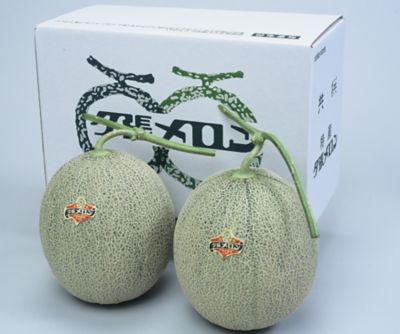 ＜北海道小樽市/北宝堂＞★【産直】収穫当日発送　夕張メロン共選　優品２玉