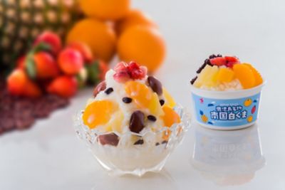 産直 鹿児島 セイカ食品 南国白くまファミリーセット 三越伊勢丹オンラインストア 公式