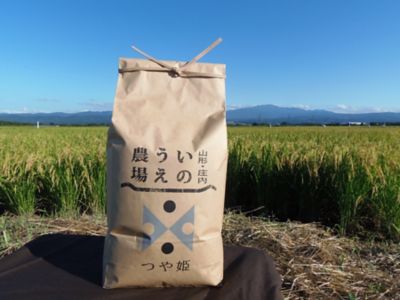 ＜三越伊勢丹/公式＞ 山形/井上農場/イノウエノウジョウ つや姫10kg 米【三越伊勢丹/公式】