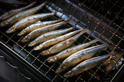 ★【産直】桜島灰干し定番５種詰合