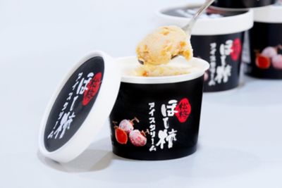 ★【産直】８個入　ほし柿＆ラムほし柿アイスクリームセット＜松梅＞