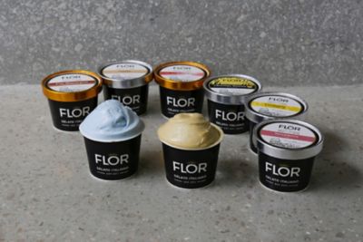 ＜FLOR GELATO ITALIANO＞★【日本店定番】ジェラート８個セット