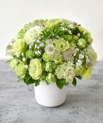 ＜第一園芸＞生花アレンジメント　ミレーユ　ホワイトＬ