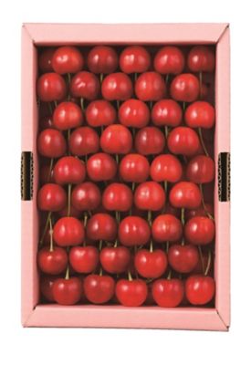 ★【産直】山形［２］［ＪＡさくらんぼひがしね］佐藤錦７００ｇ２Ｌ置並