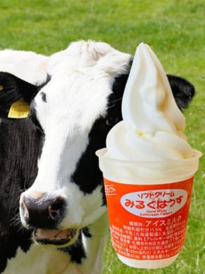 ★【産直】おウチで食べる北海道牛乳ソフトクリーム＆サンデーセット（ＭＨＳ－１０）