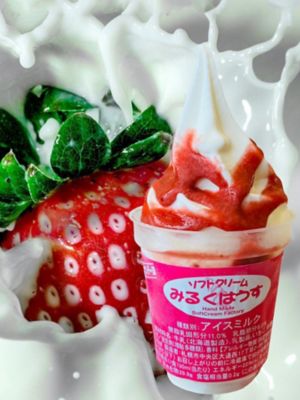★【産直】おウチで食べる北海道牛乳ソフトクリーム＆サンデーセット（ＭＨＳ－１０）