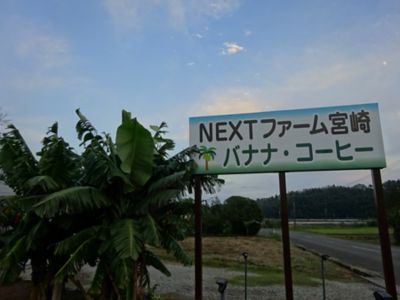 ★【産直】バナナ・皮ごとバナナジャムのセット（宮崎県産）