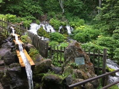 ★【産直】特濃アイスコーヒーと特濃珈琲ゼリーセット