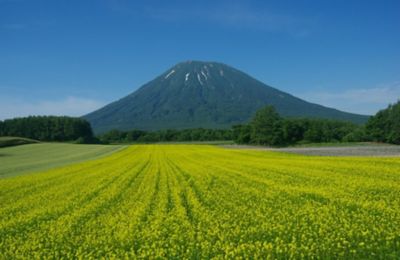 ★【産直】特濃アイスコーヒーと特濃珈琲ゼリーセット