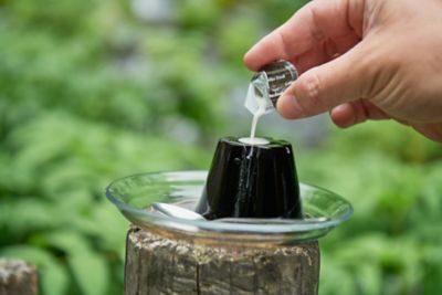 ★【産直】特濃アイスコーヒーと特濃珈琲ゼリーセット