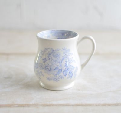 ☆【予約販売】ブルーアジアティックフェザンツ サンドリガムマグ【4