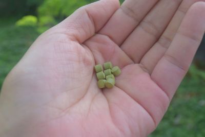 ★【産直】モリンガのチカラ３種セット