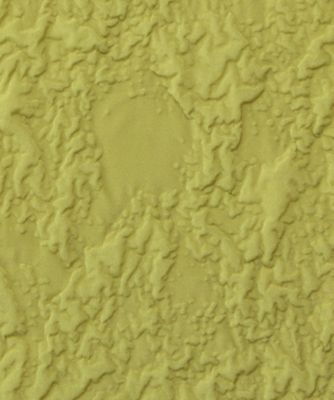 ＣＬＩＦＦ　ＬＡＹＥＲ　ＳＨＩＲＴＳ