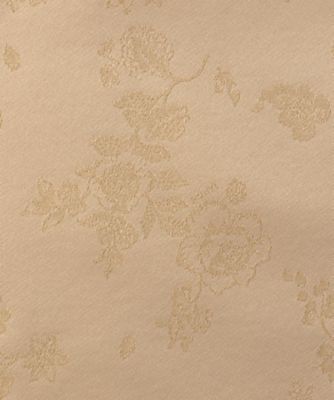 Ｐｌａｎｔ　ｊａｃｑｕａｒｄ　ｒｅｖｅｒｓｉｂｌｅ　ＪＫ