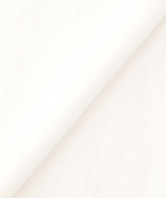 Ｆｒｏｎｔ　ｓｌｉｔ　ＳＨ