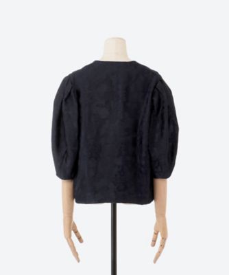 Ｐｌａｎｔ　ｊａｃｑｕａｒｄ　ＳＨ　ＪＫ
